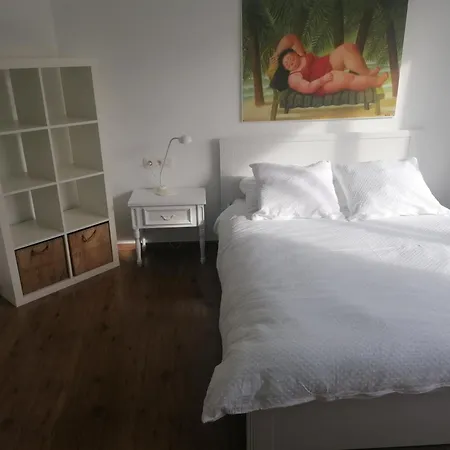 Casa Frida Остенде